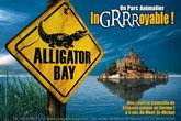 Alligator Bay